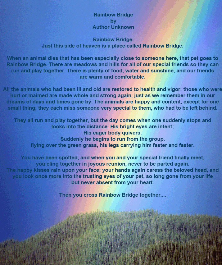 free rainbow bridge poem
